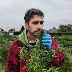 Jérôme Lecoq, Secrétaire Général de France Cannabis