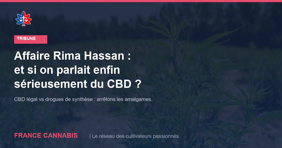 Tribune France Cannabis : Affaire Rima Hassan — CBD légal, cathinone de synthèse et urgence d'un cadre législatif pour le cannabis en France